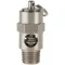 Safety Valve Soft Seat 1/4 Inch 100 Psi Stainless Steel