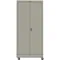 Mobile Storage Cabinet 48 x 24 Standard