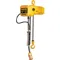 Electric Chain Hoist 2000 Lb. 10 Feet