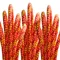 Arborist Climbing Line, 32 Strand, 200 Ft. Length, Red/Orange/Yellow