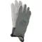 Cut Resistant Gloves Green XL PR