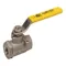 Ball Valve, 3/8 Inch NPT, Stainless Steel, Vent, Lock Plated