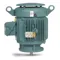 Vertical P-Base Motor, 230/460V, 3600 RPM, 60 Hz, 75 hp, TEFC, 365HP Frame