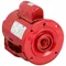 Circulating Pump Motor