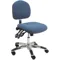 Task Chair 450 Lb Blue Polished Aluminium