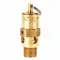 Safety Valve, Hard Seat, 1/4 Inch MNPT Inlet, 1/4 Inch FNPT Outlet