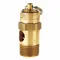 Safety Valve, Soft Seat, 3/8 Inch MNPT Inlet, 3/8 Inch FNPT Outlet