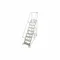 Rolling Ladder, 100 Inch Platform Height, 24 Inch Platform Dp, 30 Inch Platform Width