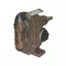 Rotary Gear Pump Head 1/2 Inch 1/3 Hp