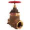 Pressure Reducing Globe Valve, Factory Set, Brass, Female x Female