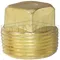 Brass Square Head Plug, 1/2 Inch Size