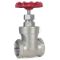 Stainless Steel Gate Valve, 200 PSI Wog, Cold Non-Shock, 1 Inch Size