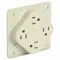 Receptacle, Quad, 5-15R, 15 A, 125V AC, Ivory, 2 Poles, Screw Terminals