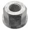 Flange Nut, 1/4 20 Thread, Stainless Steel, 316, Plain