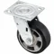 Standard Plate Caster, 4 15/16 Inch Dia, 6 1/8 Inch Height