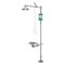 Barrier-Free Safety Station With Eye/Face Wash, Plastic Shower Head, Chrome Finish