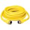 Temporary Power Cord, Length 6 Feet, 60 A, 120 - 208 V, Yellow
