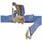 Tie Down Strap, 10 Ft. Length, 1 Inch Width, 835 Lbs. Working Load Limit