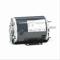 Fan and Blower Motor, .25,.08 HP, 1 Phase, 60 Hz, 115V, 1800 RPM