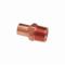 Adapter, 3/4 Inch Size, Copper