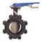 Lug Style Butterfly Valve, 2 Inch Valve Size, Ductile Iron