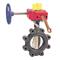 Lug Style Butterfly Valve, 10 Inch Valve Size, Ductile Iron