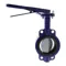 Wafer Style Butterfly Valve, 4 Inch Valve Size, 125 lb, Cast Iron