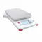 Bench Scale, 5 lb Wt Capacity, 5 5/8 Inch Weighing Surface Dp