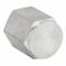 Hex Cap, 316 Stainless Steel, 1/8 Inch Pipe, Female NPT