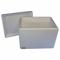 Insulated Shipping Container, 22-7/8X16-7/8X16-7/8 Inch, 1.25 Inch Insert Wall Thick
