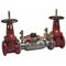 Double Check Detector Backflow Assembly, 12 Inch Size, Shutoff Valve