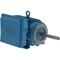 Electric Motor, 5Hp, 60Hz, 1800 Rpm