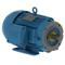 Electric Motor, 3Hp, 60Hz, 1170 Rpm