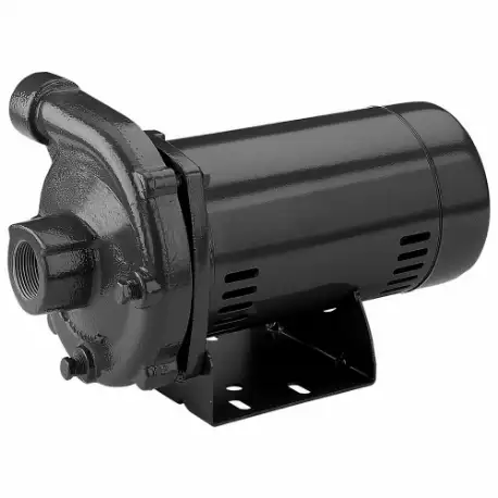 STA RITE Straight Centrifugal Pumps