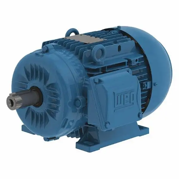 WEG Metric Three Phase Motors